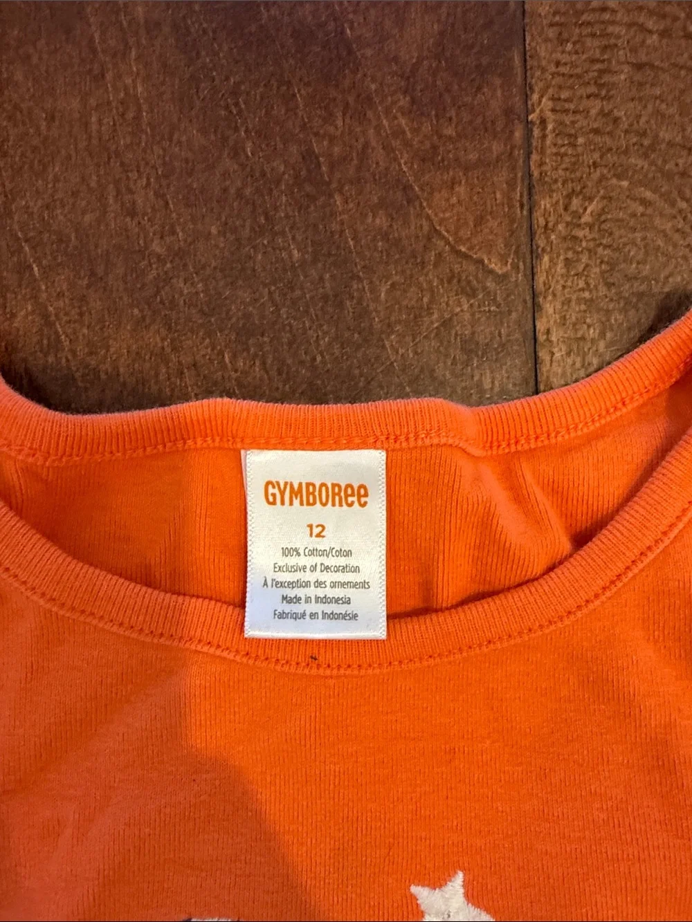 Gymboree Girls Orange Halloween Ghost & Bat Tee with Cauldron